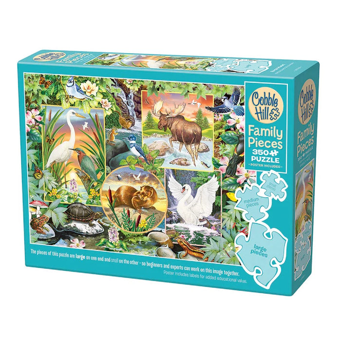 Family Pieces 350 Puzzle: River Magic (Large Pieces)