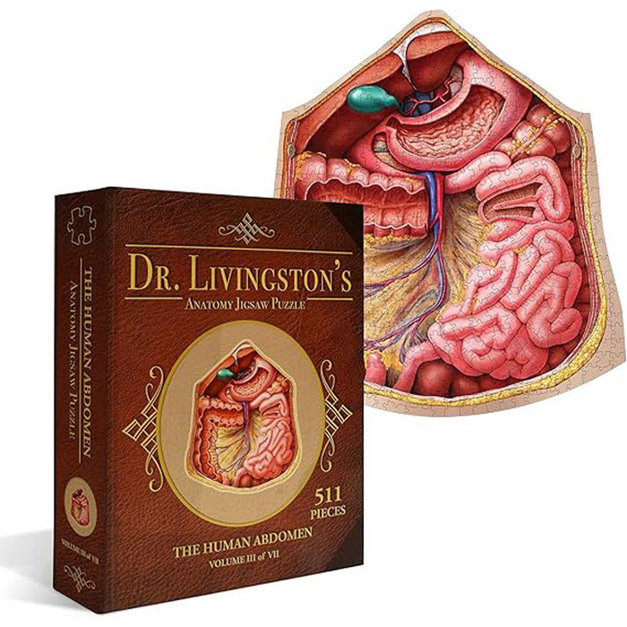 Dr. Livingston's Anatomy Puzzle: Human Abdomen, 577 Pieces