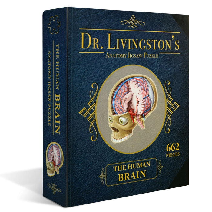 Dr. Livingston's Anatomy Puzzle: Human Brain, 662 Pieces