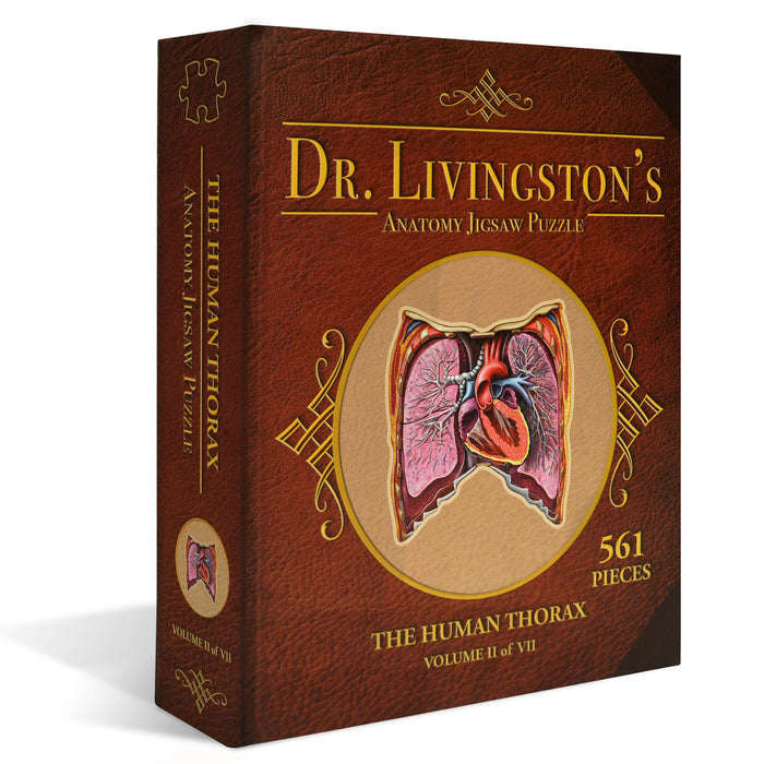 Dr. Livingston's Anatomy Puzzle: Human Thorax, 500 Pieces