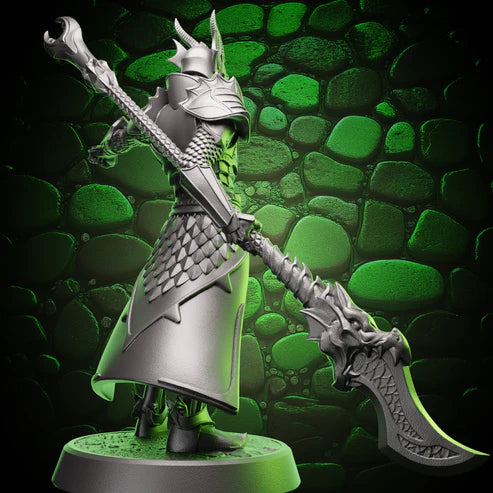 Helios Tabletop: Unprimed Human Paladin | Glaive | 5e
