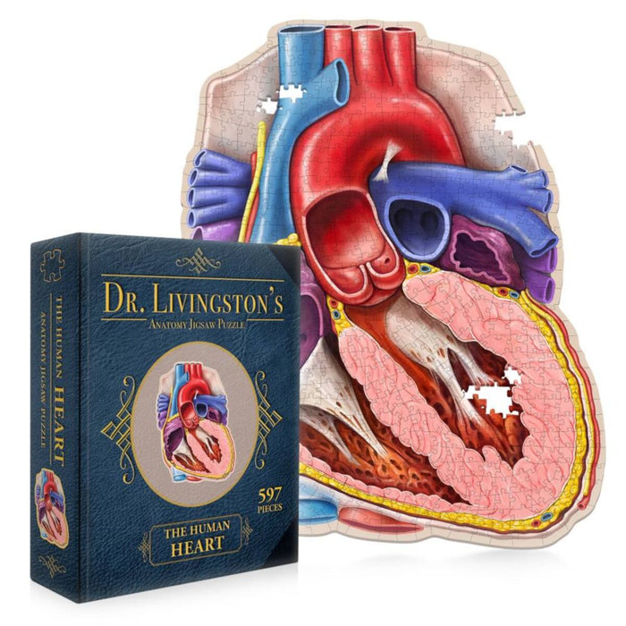 Dr. Livingston's Anatomy Puzzle: Human Heart, 597 Pieces