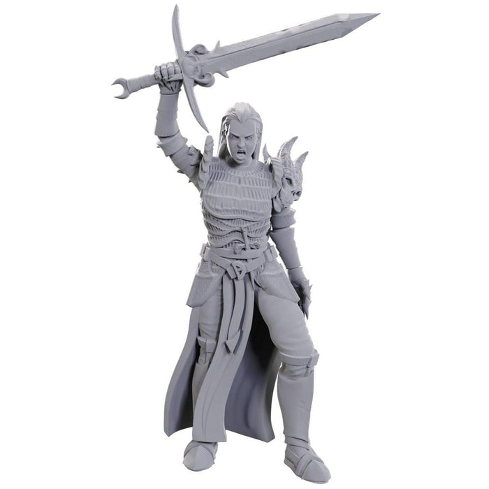 D&D Nolzur's Marvelous Miniatures: Wave 25 - Blackguard