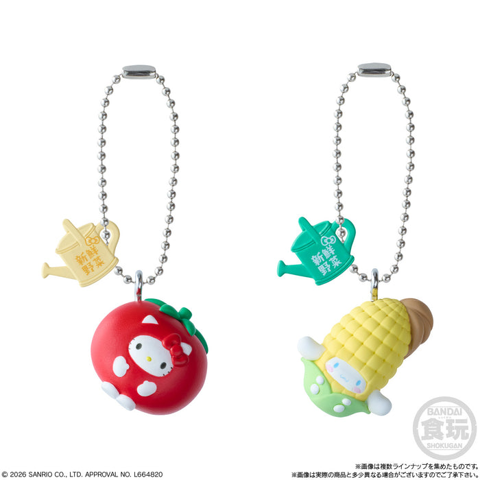 Hello Kitty and Friends Shokugan Collection: Wave 3