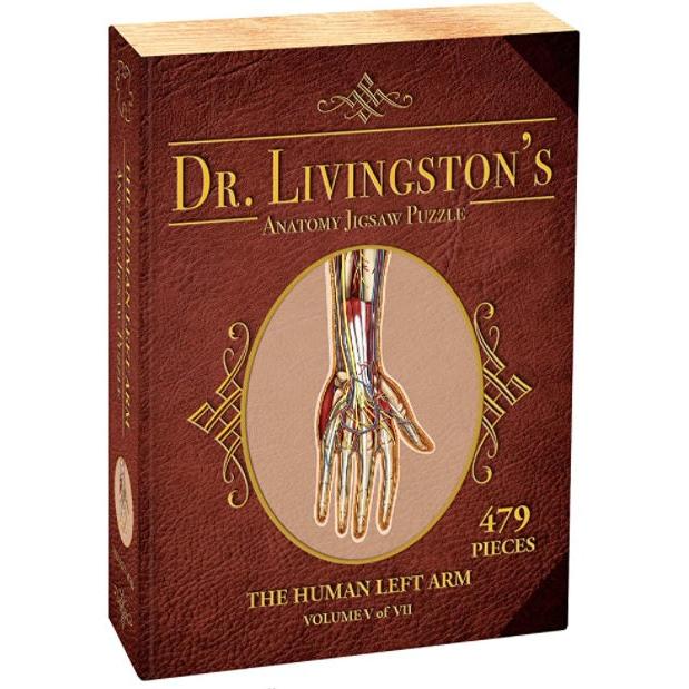 Dr. Livingston's Anatomy Puzzle: Human Left Arm, 479 pieces