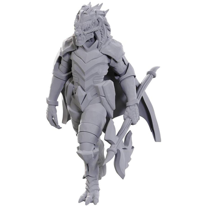 D&D Nolzur's Marvelous Miniatures: Wave 25 - Dragonborn of Tiamat