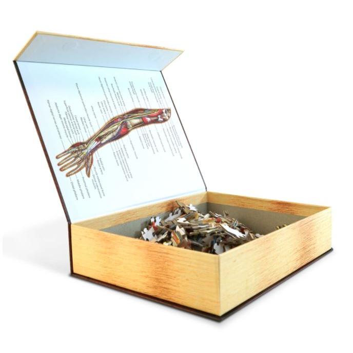 Dr. Livingston's Anatomy Puzzle: Human Left Arm, 479 pieces