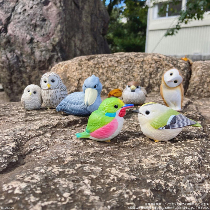 Tenori Shokugan Friends 7: Birds