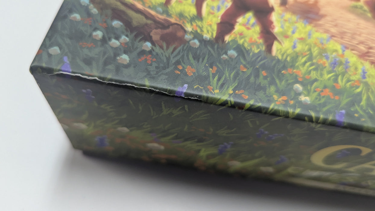 [DINGS & DENTS] Catan (6th Edition): Cities & Knights