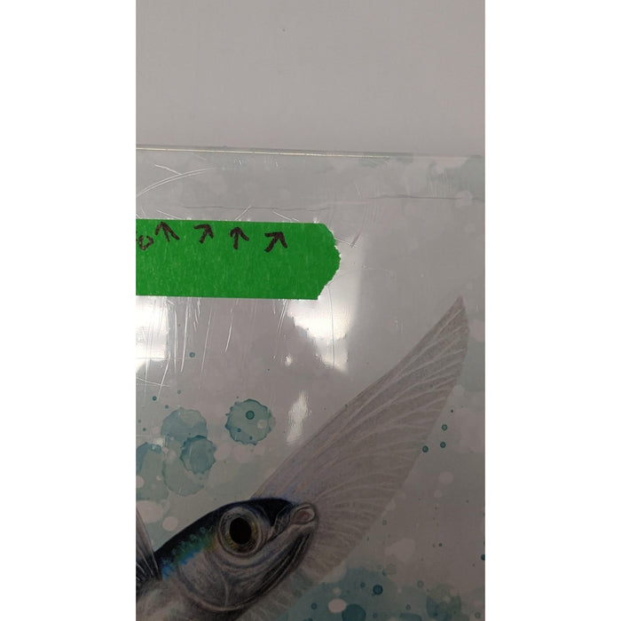 [DINGS & DENTS] Finspan