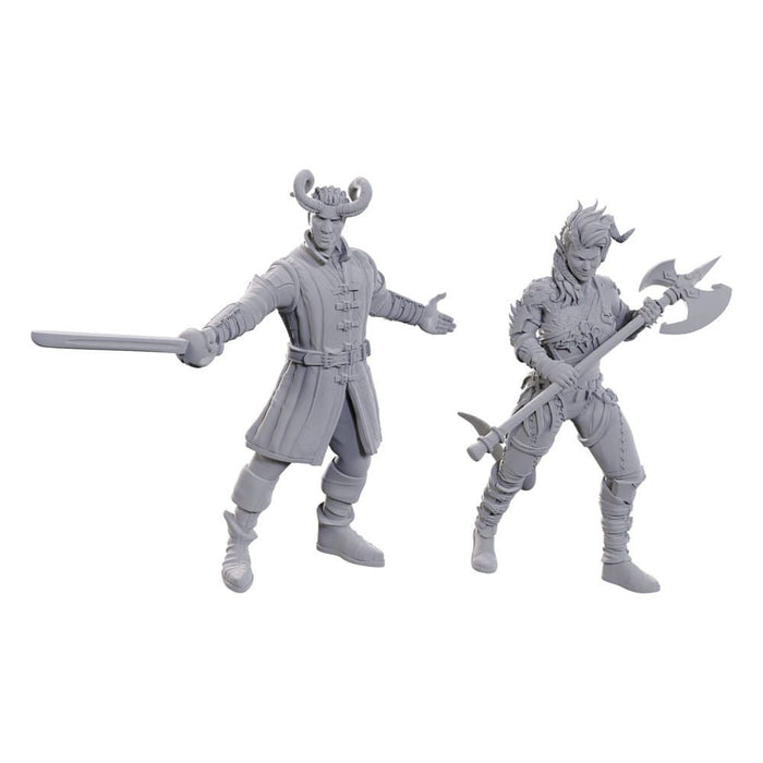 D&D Unpainted Miniatures Special Edition: Baldur's Gate 3 - Wyll & Karlach