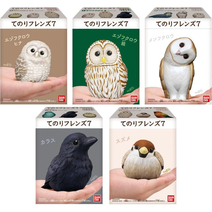 Tenori Shokugan Friends 7: Birds