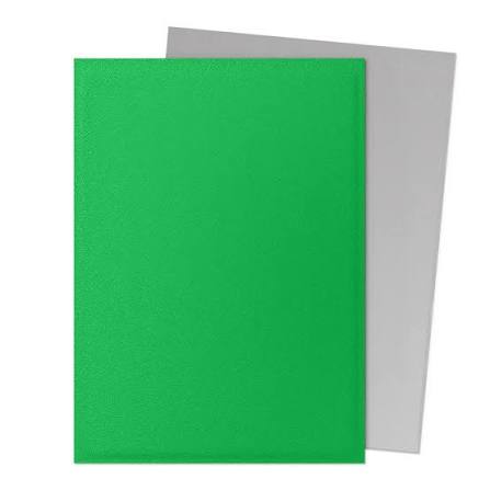 Dragon Shield Card Sleeves: Standard Size Dual Matte, 100ct - Apple Green and Silver