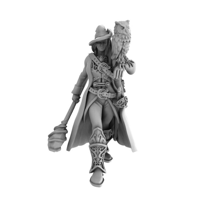 The Lion's Tower Resin Miniatures: Battlemage With Raven Familiar