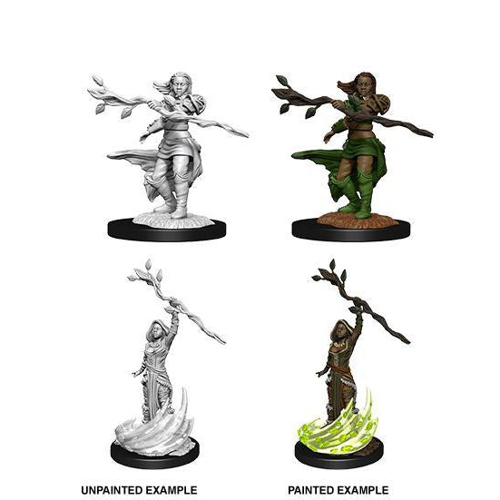 D&D Nolzur's Marvelous Miniatures: Human Druid (She/Her/They/Them)