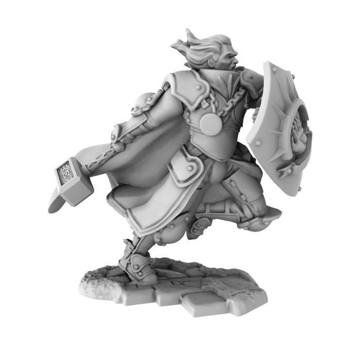 The Lion's Tower Resin Miniatures: War Cleric (He/They)