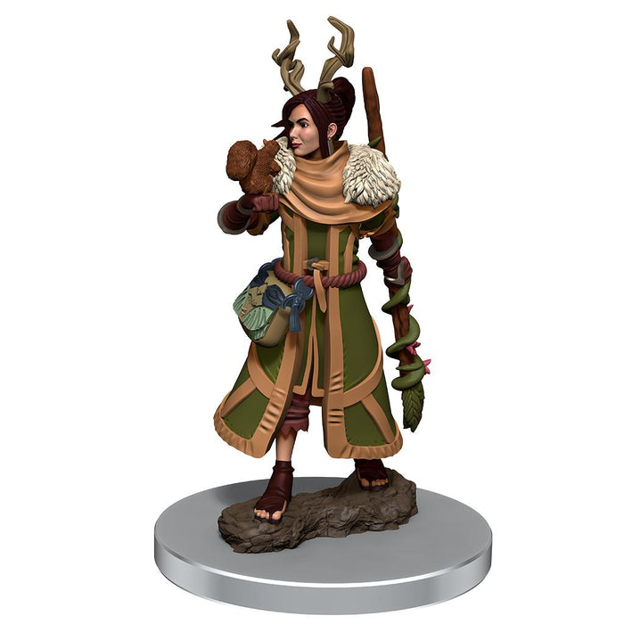 D&D Icons of the Realms: Premium Figures - Human Druid (She/Her/They/Them)