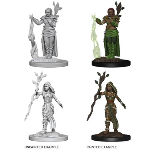 D&D Nolzur's Marvelous Miniatures:  Human Female Druid -LVLUP GAMES